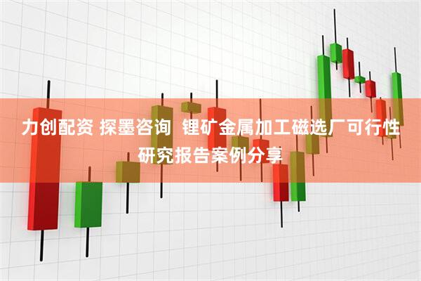 力创配资 探墨咨询  锂矿金属加工磁选厂可行性研究报告案例分享