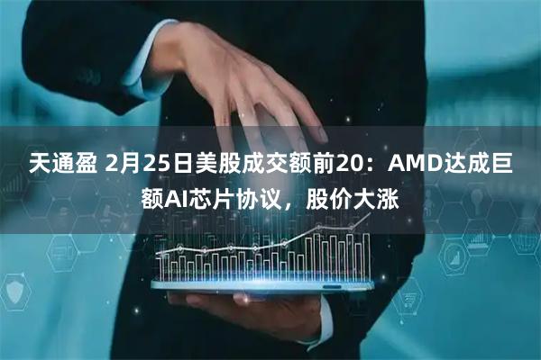 天通盈 2月25日美股成交额前20：AMD达成巨额AI芯片协议，股价大涨