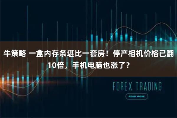 牛策略 一盒内存条堪比一套房！停产相机价格已翻10倍，手机电脑也涨了？